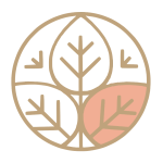 soul-sanctuary-symbol